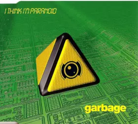 Couverture du produit · I Think I'm Paranoid