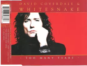 Couverture du produit · Too Many Tears