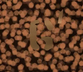 Couverture du produit · Queer