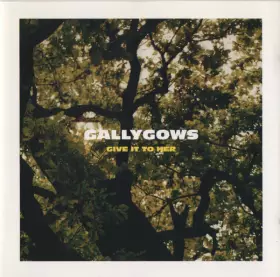 Couverture du produit · Give It To Her