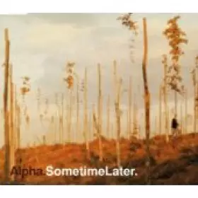 Couverture du produit · Sometime Later