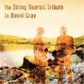 Couverture du produit · The String Quartet Tribute To David Gray