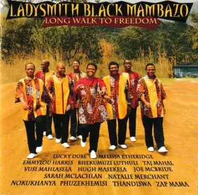 Couverture du produit · Long Walk To Freedom