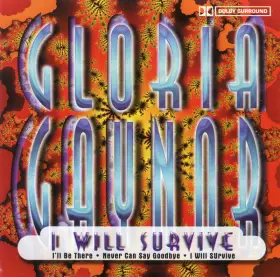 Couverture du produit · I Will Survive