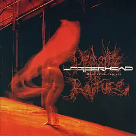 Couverture du produit · Demons In Rapture