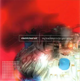 Couverture du produit · My True Intent Is For Your Delight