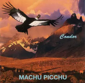 Couverture du produit · Machu Picchu Vol. IV: Runa Pacha