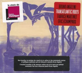 Couverture du produit · Transatlantic Roots