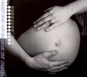 Couverture du produit · Human Circle - The Wayfarer