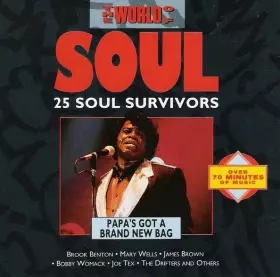 Couverture du produit · The World Of Soul. 25 Soul Survivors (Papa's Got A Brand New Bag)