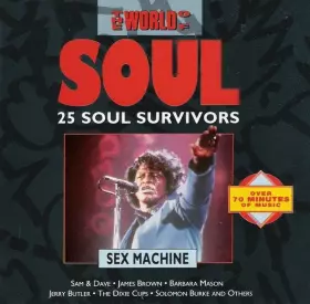 Couverture du produit · The World Of Soul. 25 Soul Survivors (Sex Machine)