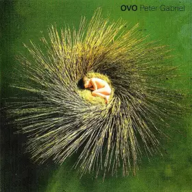 Couverture du produit · OVO