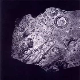 Couverture du produit · Paramount