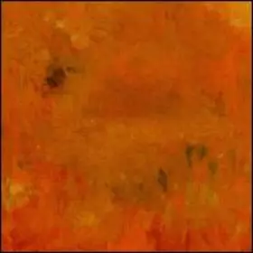 Couverture du produit · Where Leaves Block The Sun