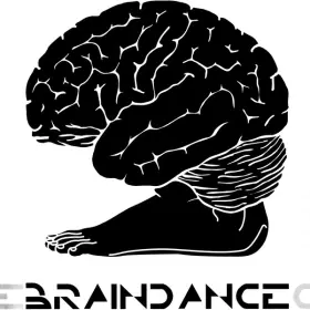 Couverture du produit · The Braindance Coincidence
