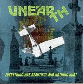 Couverture du produit · Everything Was Beautiful And Nothing Hurt