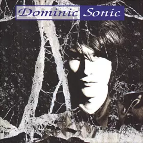 Couverture du produit · Dominic Sonic