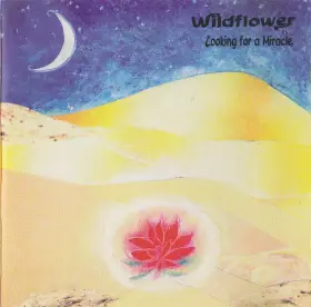 Couverture du produit · Looking For A Miracle