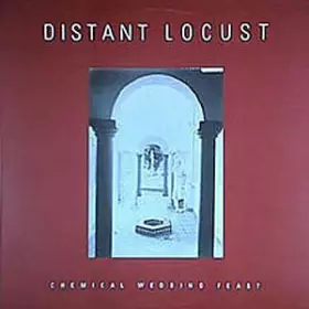 Couverture du produit · Chemical Wedding Feast