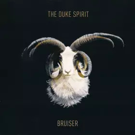 Couverture du produit · Bruiser