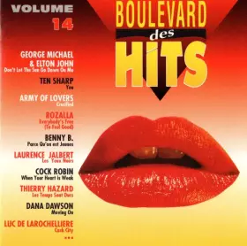 Couverture du produit · Boulevard Des Hits Volume 14