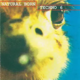 Couverture du produit · Natural Born Techno 6