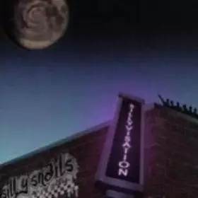 Couverture du produit · Sillyvisation