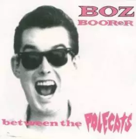 Couverture du produit · Between The Polecats