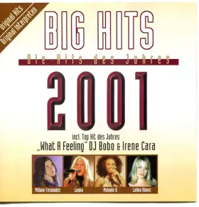 Couverture du produit · Big Hits - Die Hits Des Jahres 2001 
