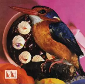 Couverture du produit · Goodbye Falkenburg