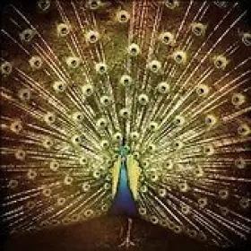 Couverture du produit · ¿ Which Side Are You On ?