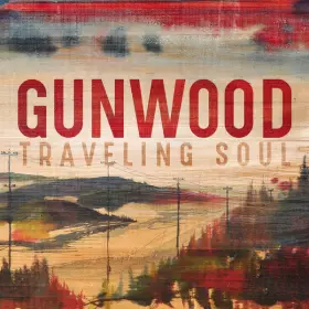 Couverture du produit · Traveling soul