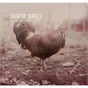 Couverture du produit · A Beautiful Life