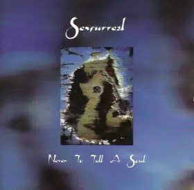 Couverture du produit · Never To Tell A Soul