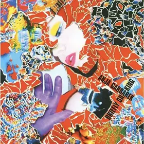 Couverture du produit · Briefly Shaking by Anja Garbarek