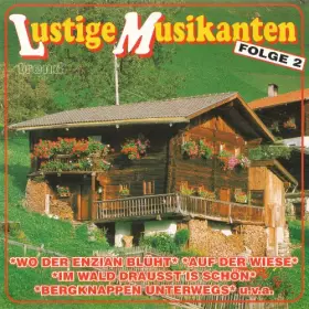 Couverture du produit · Lustige Musikanten unterwegs Folge 2