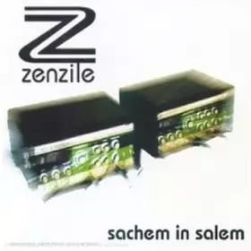 Couverture du produit · Sachem In Salem
