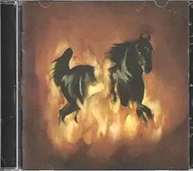 Couverture du produit · Besnard Lakes are The Dark Horse