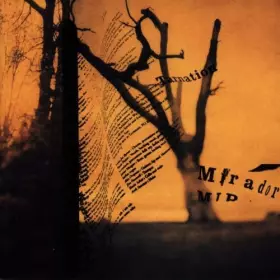 Couverture du produit · Mirador by Tarnation