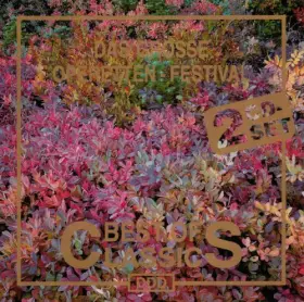 Couverture du produit · The Great Operetta Festival