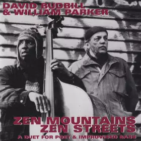 Couverture du produit · Zen Mountains Zen Streets