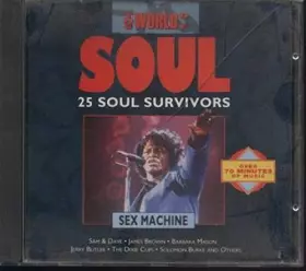 Couverture du produit · The World of Soul 25 Soul Survivors