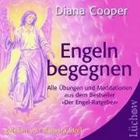 Couverture du produit · Engeln Begegnen [Import]