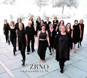 Zrno [Import] - Vokalensemble Glas