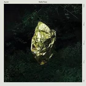 Couverture du produit · Stelle Fisse