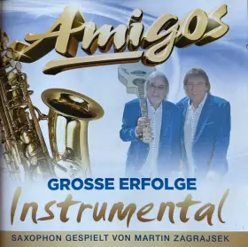Couverture du produit · Grosse Erfolge Instrumental