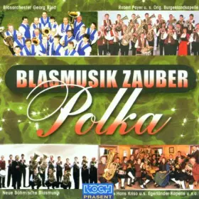 Couverture du produit · Blasmusik Zauber-Polka [Import]
