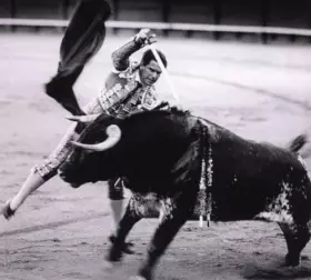 Couverture du produit · Life is Elsewhere [Import]