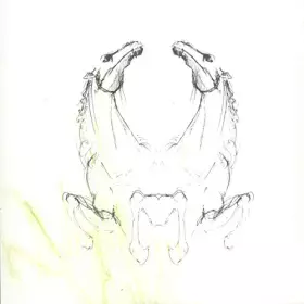 Couverture du produit · Tear It Down