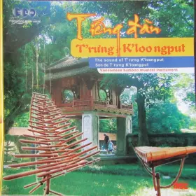Couverture du produit · Tiếng Đàn T'rưng K'loongput